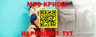шишки Заволжье