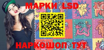шишки Заволжье