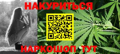 шишки Заволжье