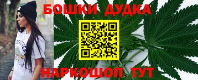 шишки Заволжье