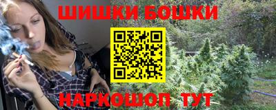 шишки Заволжье