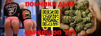 шишки Заволжье
