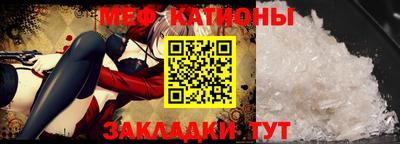 шишки Заволжье