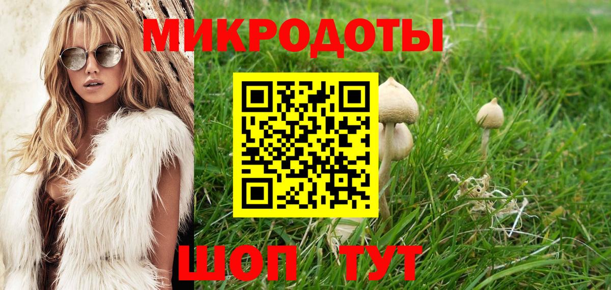 Галлюциногенные грибы Cubensis Курчатов