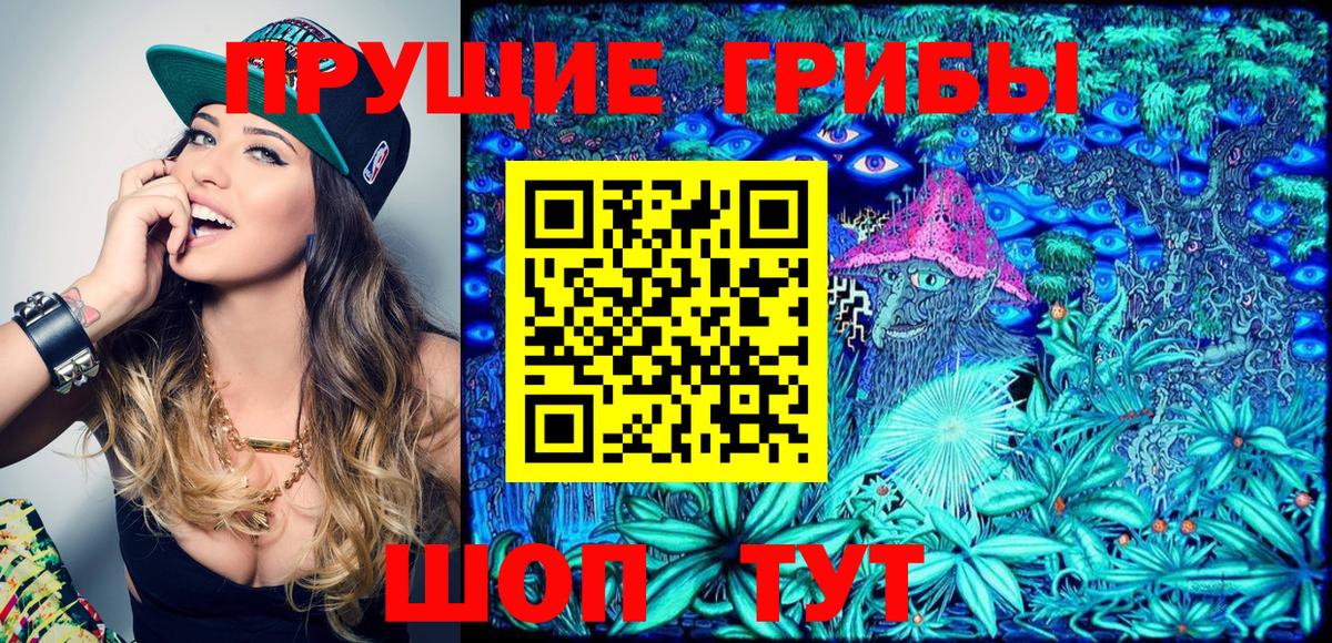 Курчатов  Псилоцибиновые грибы ЛСД  где можно купить   Вход с VPN 